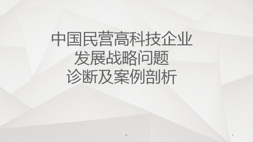 中国民营高科技企业发展战略问题诊断及案例剖析