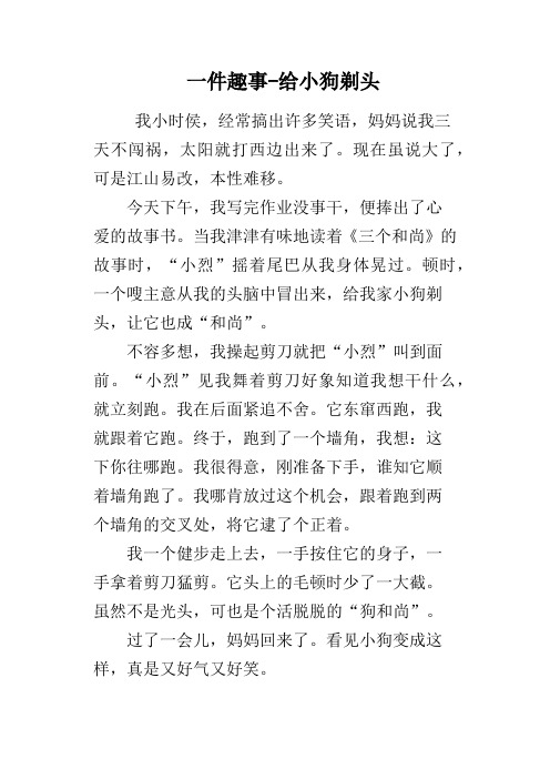 一件趣事-给小狗剃头