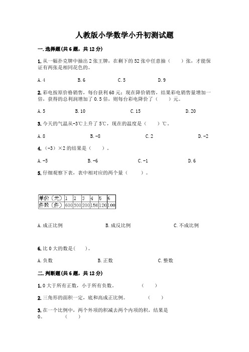 人教版小学数学小升初测试题及完整答案(历年真题)附参考答案【培优】