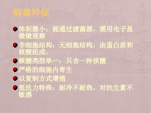 病毒的基本形态和分类病毒的感染与免疫病毒感染的实验室诊断