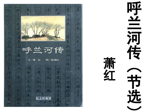 九年级下册语文《呼兰河传》课件