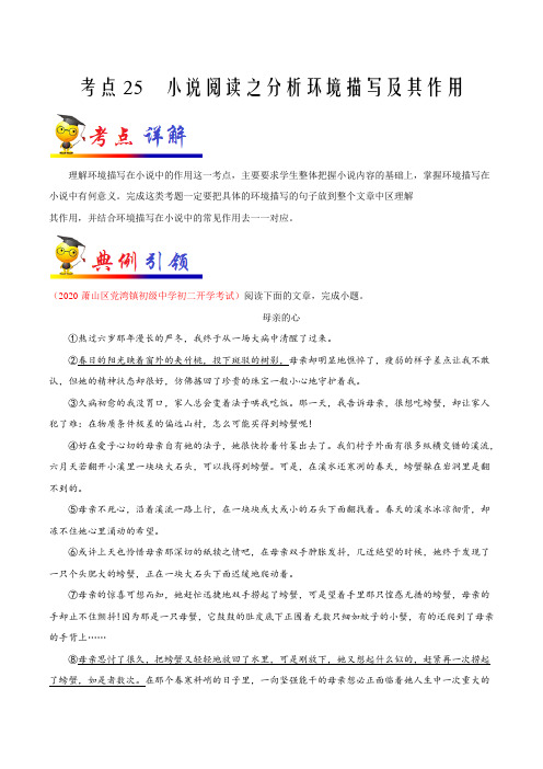 考点25 小说阅读之分析环境描写及其作用-备战2021年中考语文一轮复习考点帮(浙江专用)