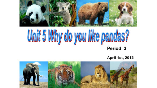 人教新目标版七年级下册Unit 5 Why do you like pandasPeriod 3(共24张PPT)