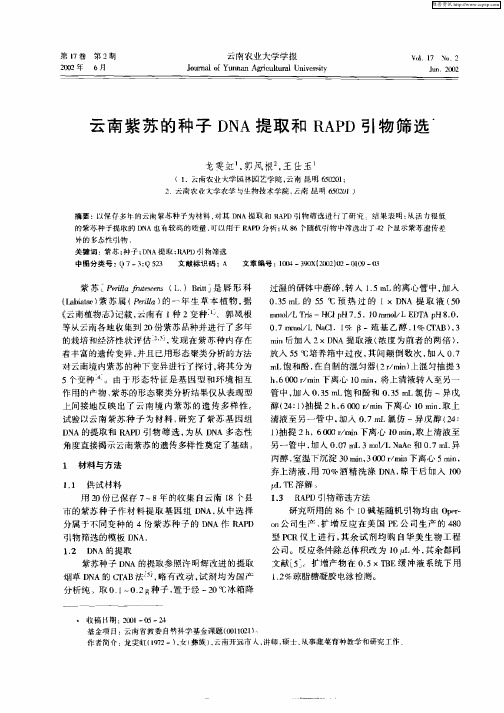 云南紫苏的种子DNA提取和RAPD引物筛选