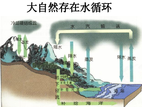 自然界中的碳循环总结版