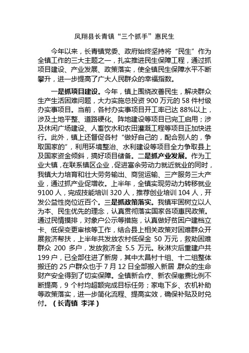 凤翔县长青镇“三个抓手”惠民生