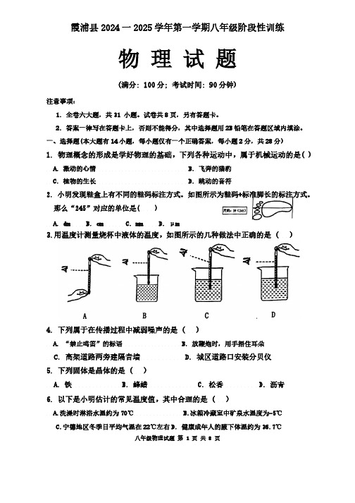 福建省宁德市霞浦县2024--2025学年上学期八年级期中适应性训练物理试题(含答案)