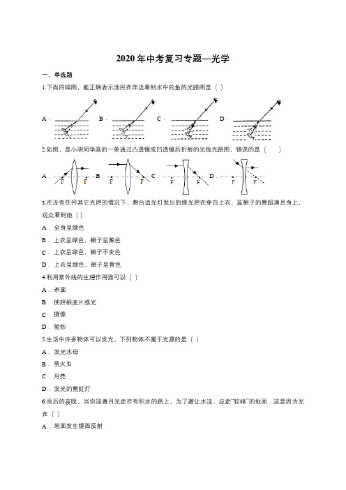 2020年中考复习专题—光学(包含答案)