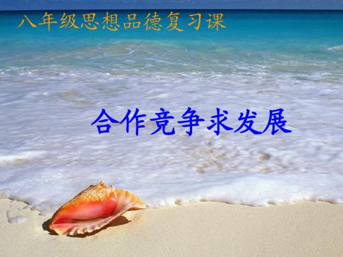 八年级思想品德复习课.