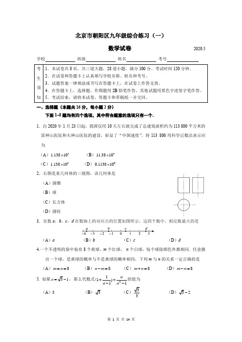 北京市朝阳区2019-2020学年九年级综合练习数学试卷及答案