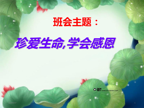 珍爱生命,学会感恩班会(共65张ppt)