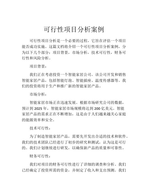 可行性项目分析案例