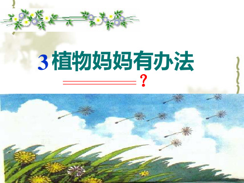 新版部编本二年级上册语文第3课《植物妈妈有办法》-1精品PPT课件