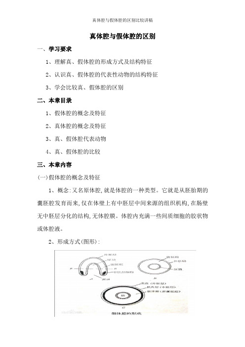 真体腔与假体腔的区别比较讲稿