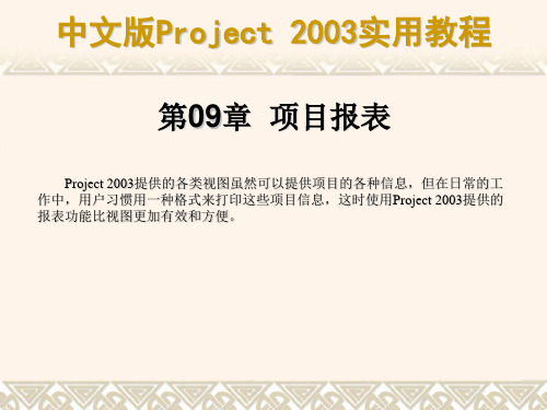 ·《中文版Project 2003实用教程》课件ch09