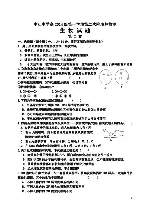 高2014级第二次阶段测试生物试题h