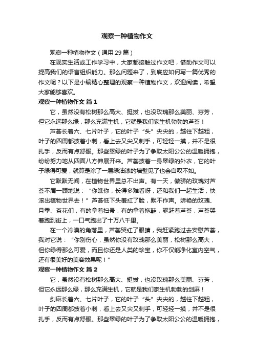 观察一种植物作文(通用29篇)
