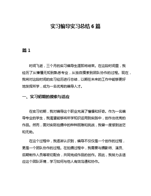 实习编导实习总结6篇