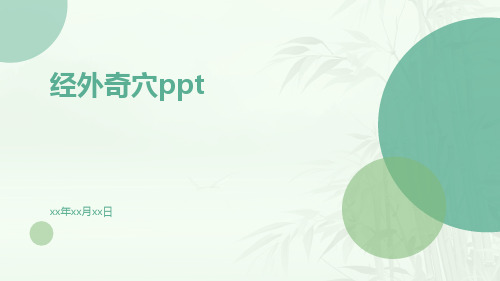 经外奇穴PPT