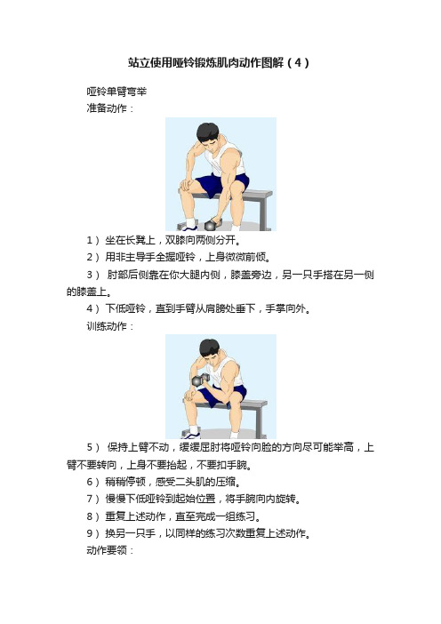 站立使用哑铃锻炼肌肉动作图解（4）