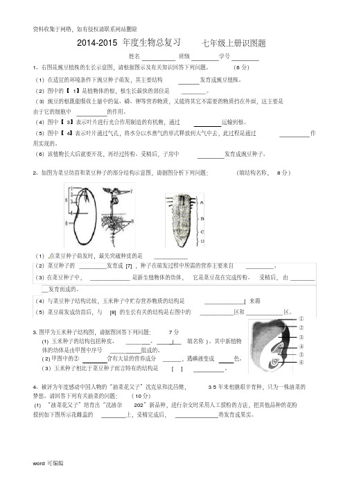 七上生物识图题（附答案）复习过程