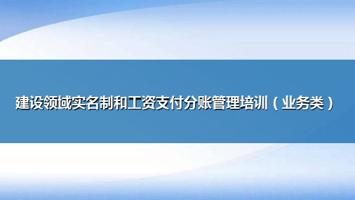 建设领域实名制和工资支付分账管理培训(实名制平台)PPT课件