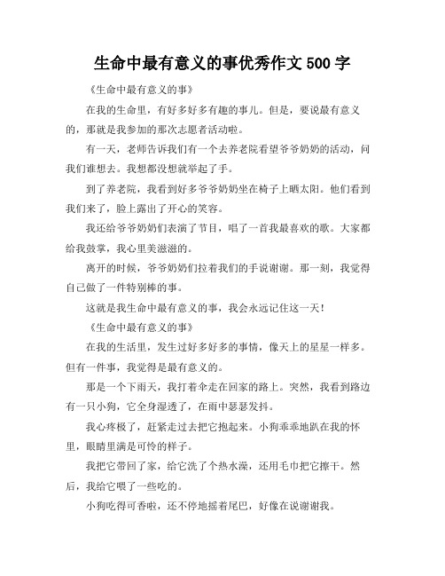 生命中最有意义的事优秀作文500字