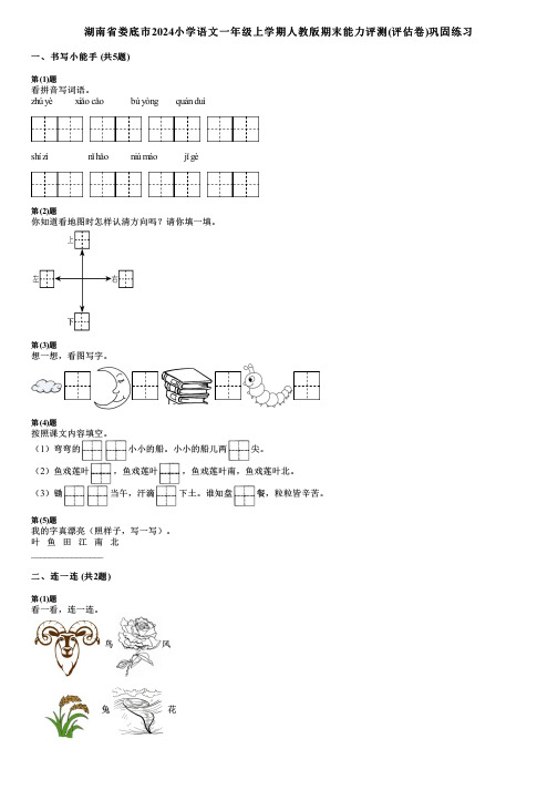 湖南省娄底市2024小学语文一年级上学期人教版期末能力评测(评估卷)巩固练习