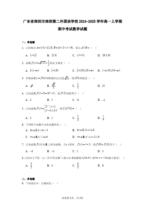 广东省深圳市深圳第二外国语学校2024-2025学年高一上学期期中考试数学试题