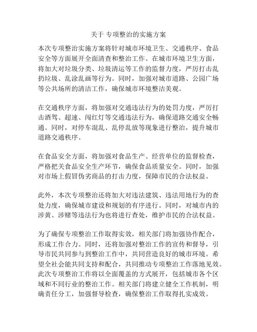 关于 专项整治的实施方案