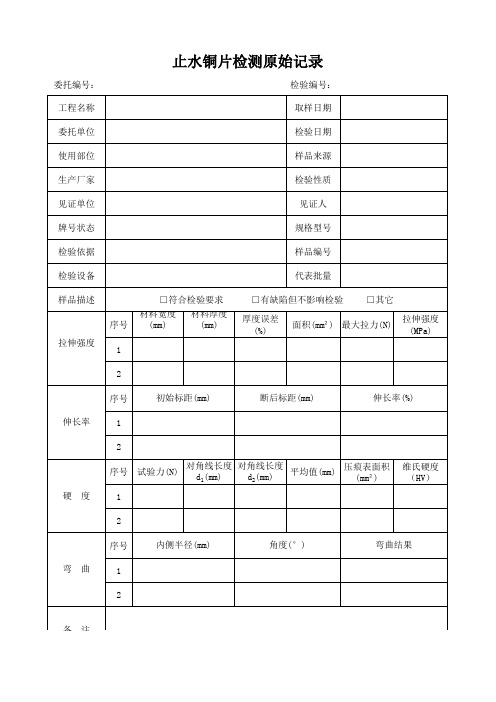 止水铜片检测原始记录