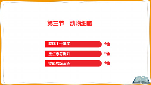 人教版七年级上册生物第二单元生物体的结构层次第一章细胞是生命活动的基本单位第三节动物细胞