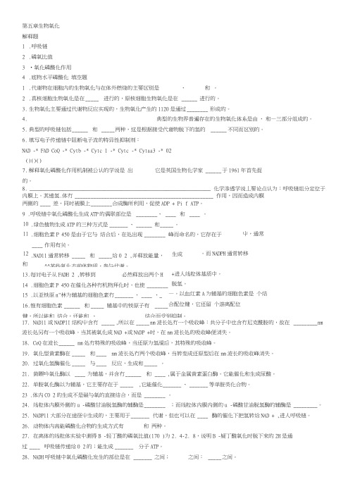 第五章生物氧化(含答案).docx