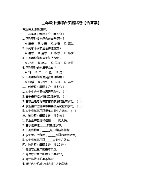 三年级下册综合实践试卷【含答案】