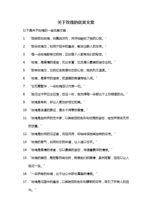 关于玫瑰的优美文案