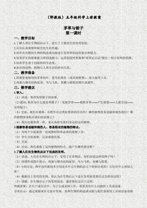 鄂教版五年级科学上册7茅草与锯子精品教学设计