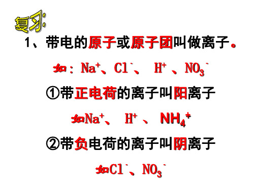 九年级化学下册 7.1 酸及其性质课件 (新版)鲁教版