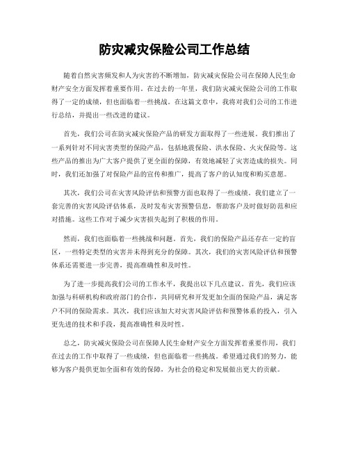 防灾减灾保险公司工作总结