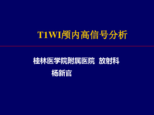 T1WI颅内高信号分析