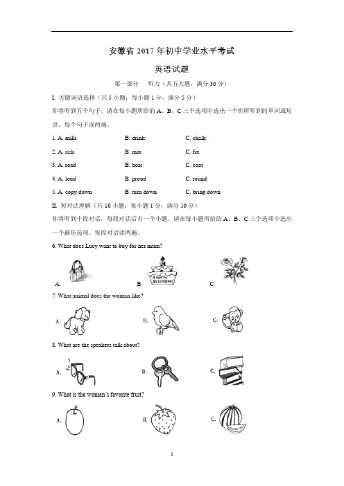 安徽省2017中考试题英语卷(word版含解析)