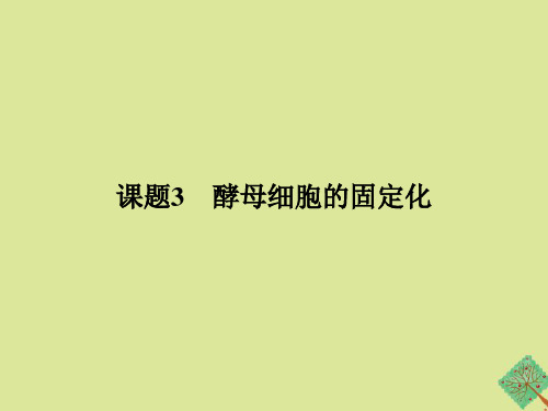 2019_2020学年高中生物专题4酶的研究与应用课题3酵母细胞的固定化课件新人教版选修1