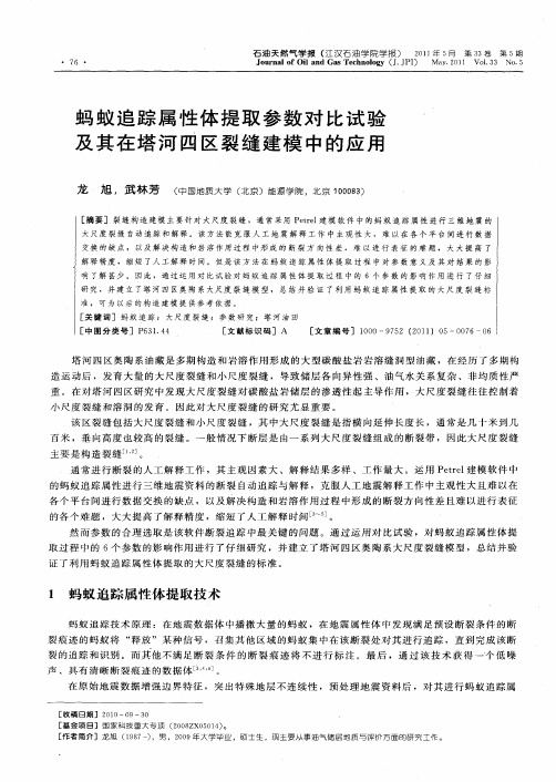 蚂蚁追踪属性体提取参数对比试验及其在塔河四区裂缝建模中的应用