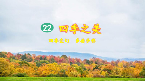 统编版小学五年级语文上册第22课《四季之美》精美课件