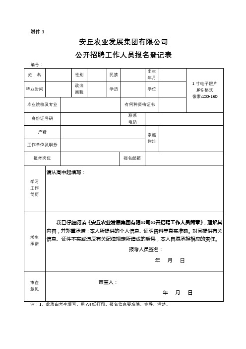 安丘农业发展集团有限公司公开招聘工作人员报名登记表【模板】