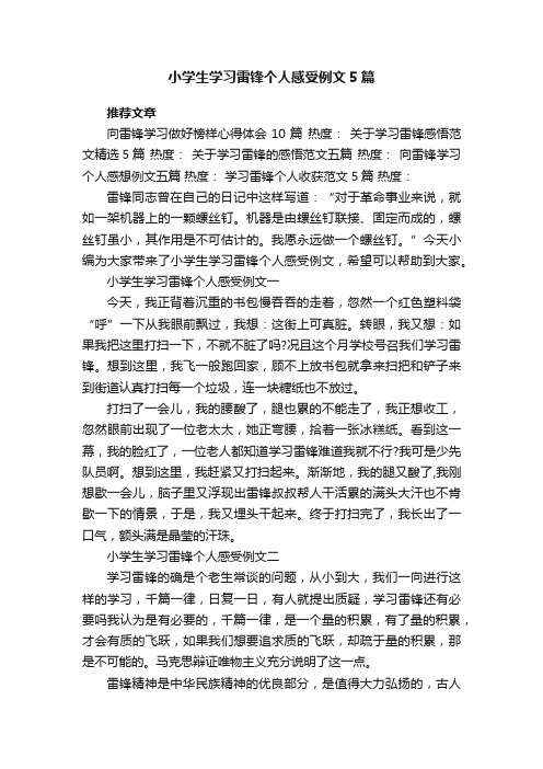 小学生学习雷锋个人感受例文5篇