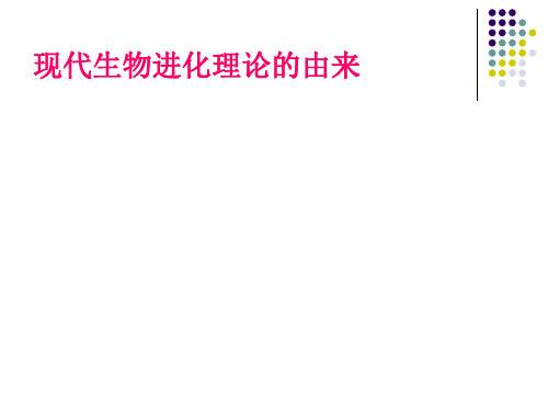 现代生物进化理论的由来22张ppt最新优选公开课件