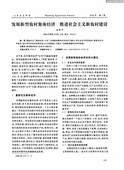 发展新型农村集体经济 推进社会主义新农村建设