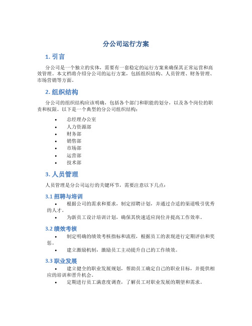 分公司运行方案