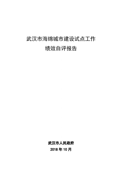 武汉市海绵城市建设试点工作绩效自评报告