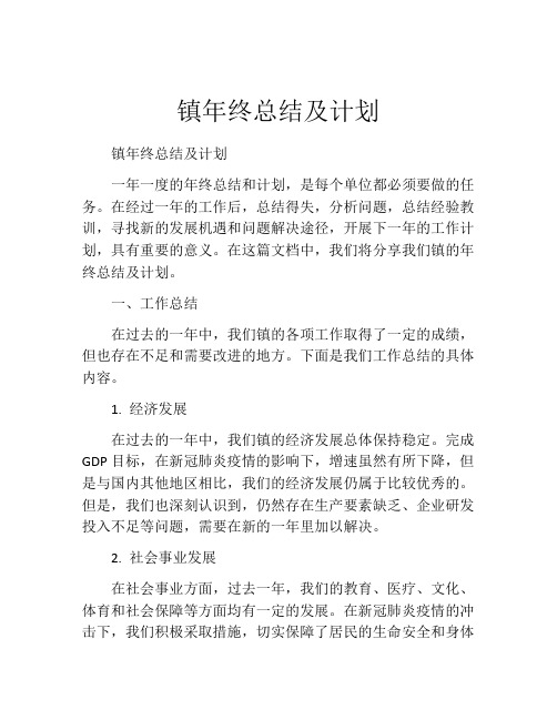 镇年终总结及计划